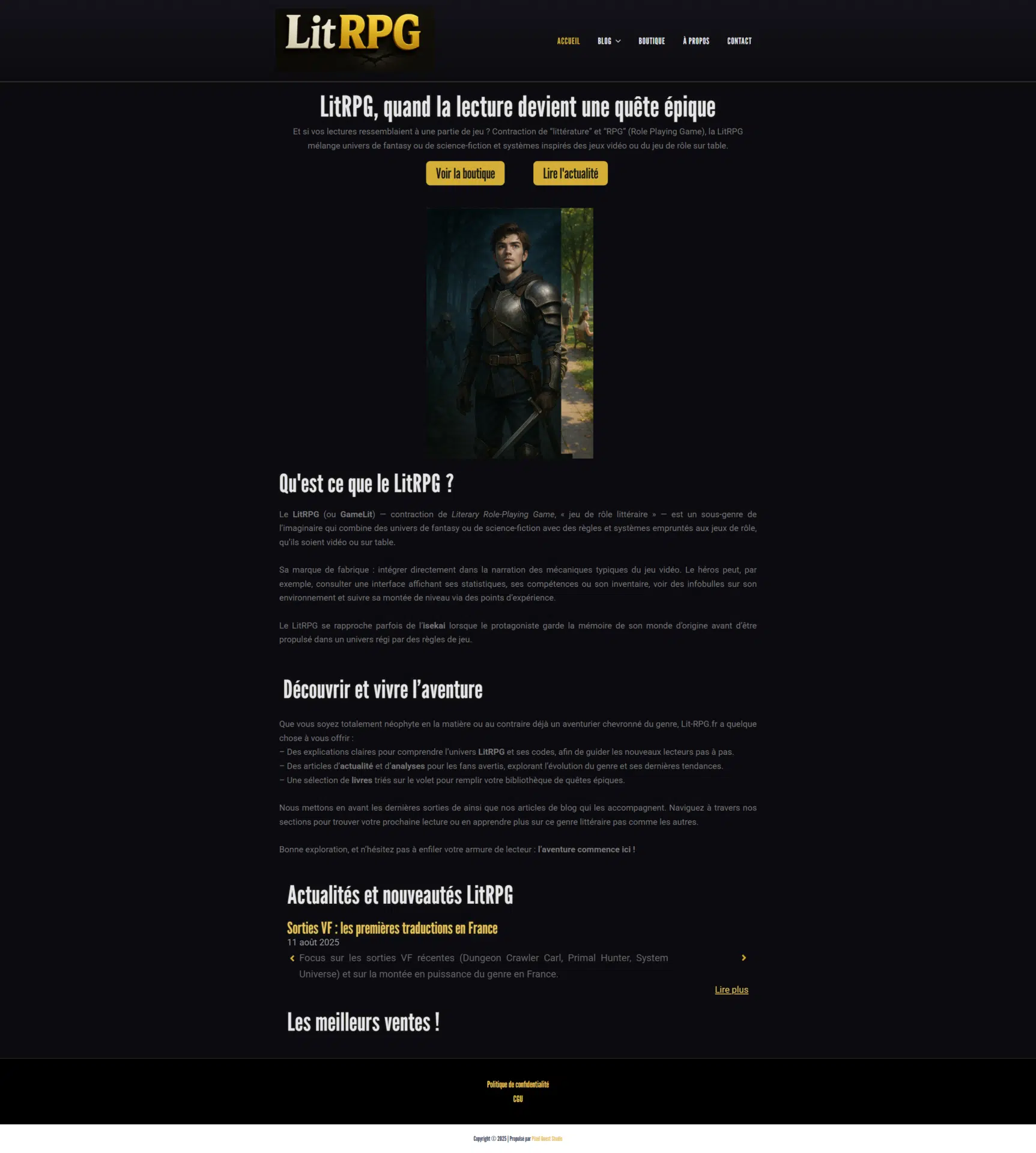 Aperçu page d’accueil – Client 1